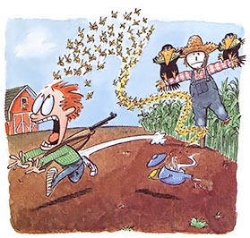 The Last Laugh: I Don't Have a Green Thumb Image